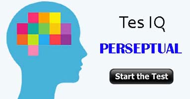 Tes IQ Perseptual